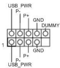 USB_PWR P- P+ GND DUMMY 1 GND P+ P- USB_PWR