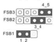 ASROCK P43D1600Twins1394 - FSB3 Jumper - 2
