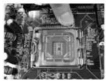 ASROCK P43D1600Twins1394 - 2.12CPU InstallationCPU Installation - 3