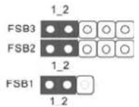 ASROCK P43D1600Twins1394 - Jumper FSB3 - 1