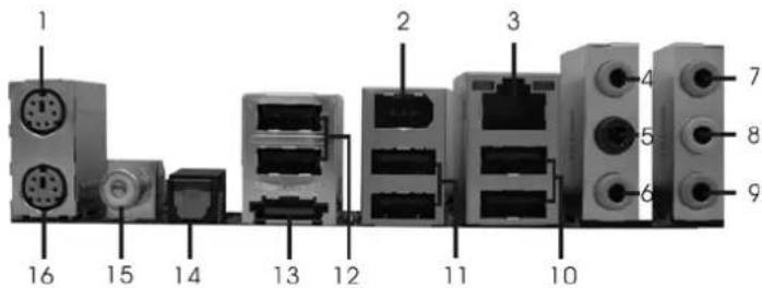 ASROCK P43D1600Twins1394 - ASRAGR 1394_SPDIF I/O (P43D1600TwrisWB4)SPD4)I/O (P43D1600T - 1