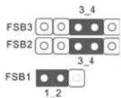 ASROCK P43D1600Twins1394 - FSB3 Jumper - 3