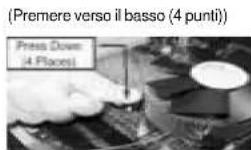 ASROCK P43D1600Twins1394 - 2.22Istallazione della ventola e del dissipatore dilInstallazione della ventola e del diss calore della CPUcalore della CPU - 3