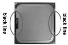 ASROCK P43D1600Twins1394 - 2.12CPU InstallationCPU Installation - 5