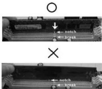 ASROCK P43D1600Twins1394 - Einsetzen eines DIMM-ModulusEinsetzen eines DIMM-Modulis - 2