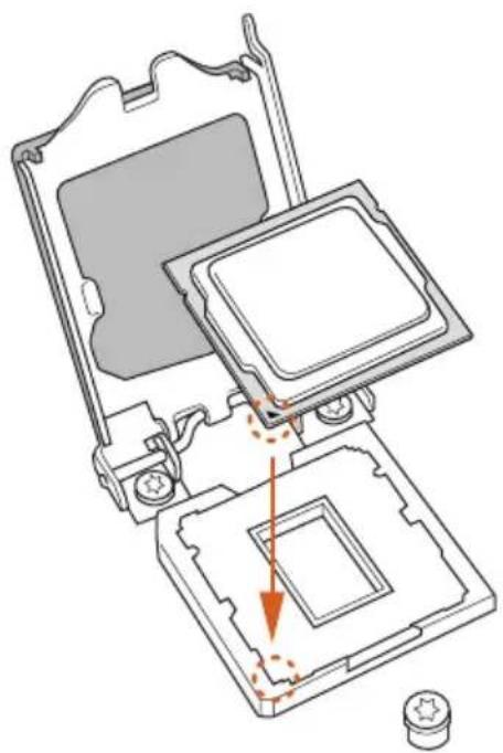 ASROCK P81 Pro3 - Installing the CPU - 4