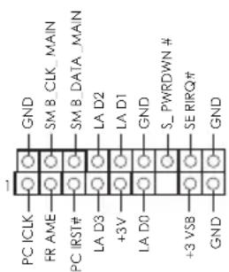 GND SM B CLK MAIN SM B DATA MAIN LA D2 LA D1 GND S_PWRDOWN # SE RIRQ# GND PC ICLK FR AME PC IRST# LA D3 +3 V LA D0 +3 VSB GND
