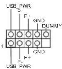 USB_PWR P- P+ GND DUMMY 1 GND P+ P- USB_PWR