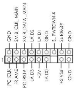 GND SM B CLK MAIN SM B DATA MAIN LA D2 LA D1 GND S_PWRDOWN # SE RIRQ# GND PC ICLK FR AME PC RST# +3V LA D0 +3 VSB GND