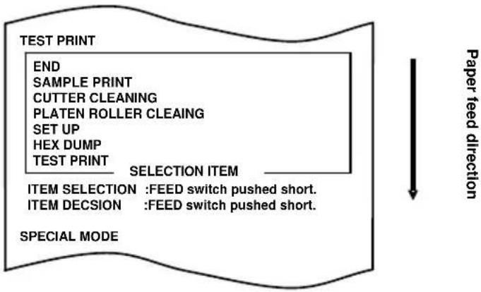 OKI PT390 - C-3. Setting Up the Printer - 1