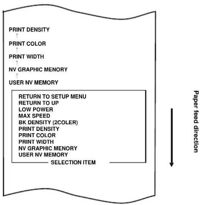 OKI PT390 - C-3. Setting Up the Printer - 7