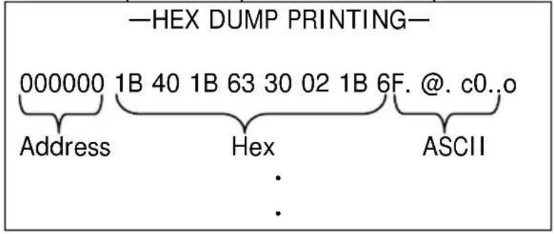 OKI PT390 - C-2. Hex Dump (stampa esadecimale) - 2
