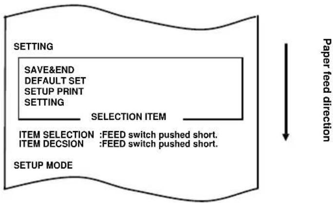 OKI PT390 - C-3. Setting Up the Printer - 3