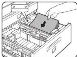 OKI B8300n - • Magasin papier inférieur - 2