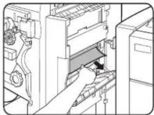 OKI B8300n - EXTRACTION D'UN BOURRAGE D'AGRAFES - 6