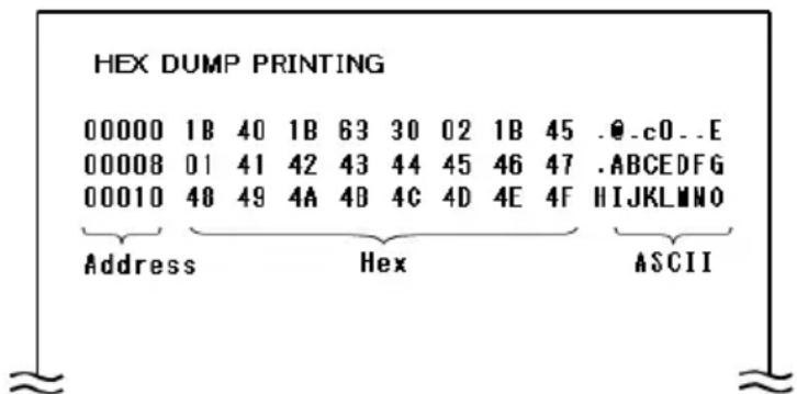 OKI LD670 - HEX DUMP mode - 1