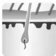 Concept Perfect Skin IL3000 - ZASTOSOWANIE - 4