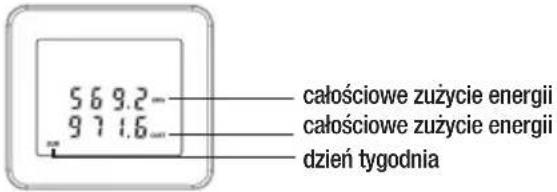 TROTEC BX11 - Wskazanie całkowitego zużycia energii i wynikających z tego kosztów. - 1