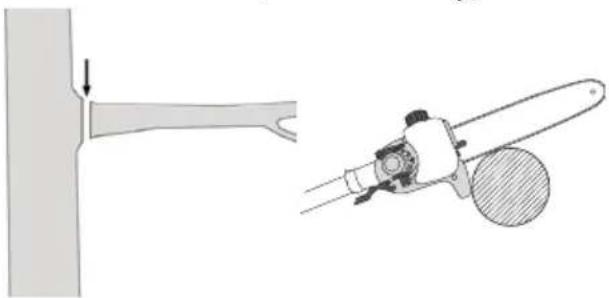 PARKSIDE FAHE 20Li B2 - Absagen eines kleinen Astes - 1