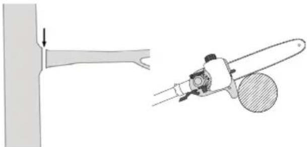 PARKSIDE FAHE 20Li B2 - Scier une petite branche - 1