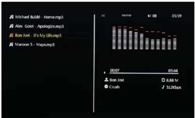 Trevi DPL 2243 - MUSIC PLAYBACK - 1