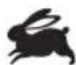 RYOBI RRT1600 - SYMBOLS IN THIS MANUAL - 8