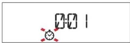 BAUKNECHT HIS5 EP8VS3 ES - TIMER - 1