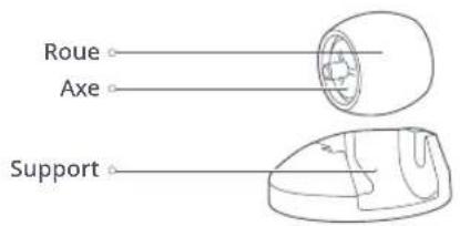 ROBOROCK E5 - Roulette omnidirectionnelle Capteurs du robot - 1