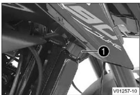 DUKE ① V01257-10