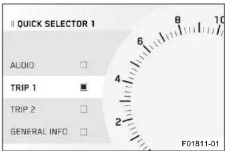 II QUICK SELECTOR 1 AUDIO TRIP 1 TRIP 2 GENERAL INFO F01811-01
