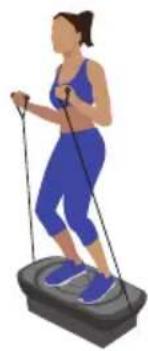 Klarfit Vibe VX - Stehen - Trainiert Beine, Po und die Rumpfmuskulatur - 1