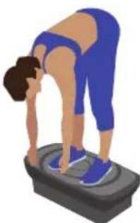 Klarfit Vibe VX - Stretch &amp; Hold - 1