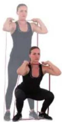 Capital Sports Power Band - Squat - 2