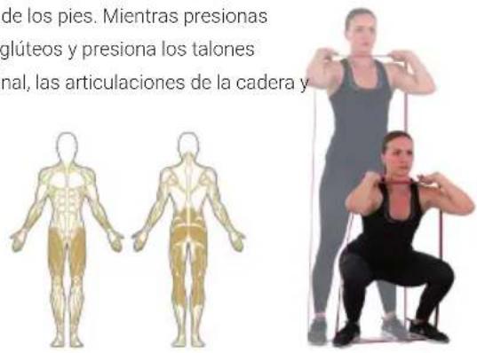 Capital Sports Power Band - Importador para el Reino Unido: - 1