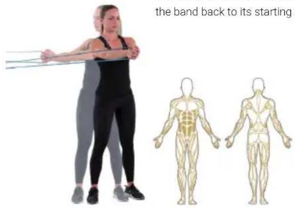 Capital Sports Power Band - Core rotation - 1