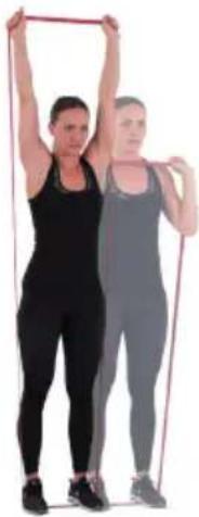 Capital Sports Power Band - Shoulder press - 2