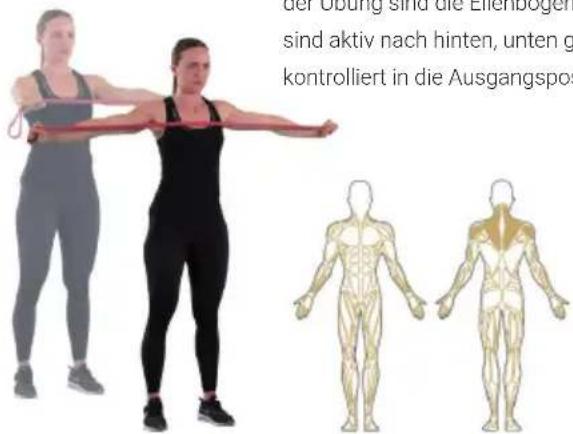 Capital Sports Power Band - Kniebeuge - 3