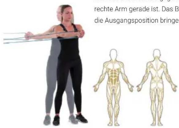 Capital Sports Power Band - Schulterpresse - 3