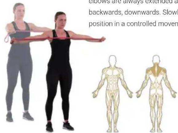 Capital Sports Power Band - Pull-up - 3
