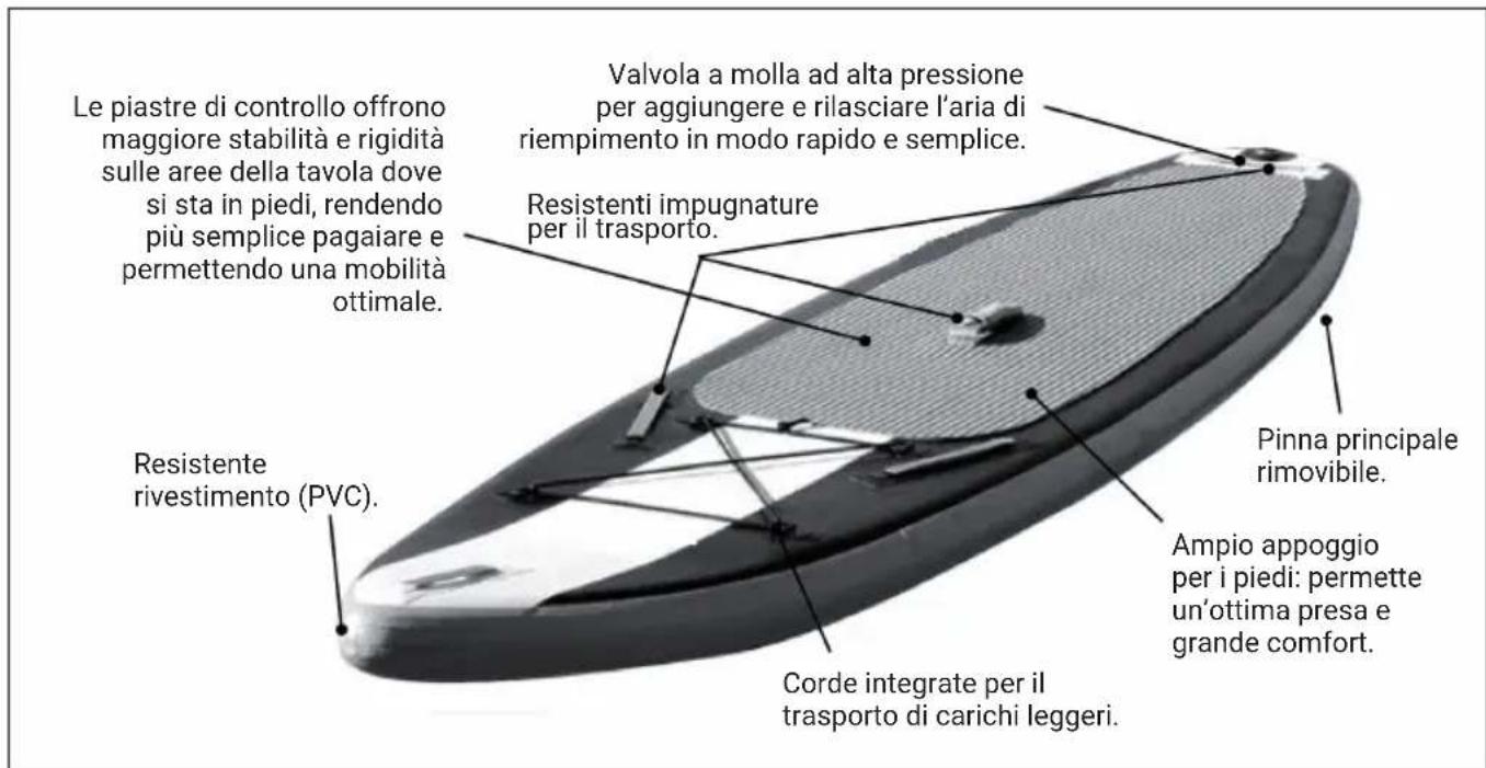 Capital Sports Downwind Cruiser - DESCRIZIONE DEL PRODOTTO - 1