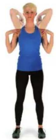 Capital Sports Galaxy Step Mini - CALENTAMIENTO ANTES DEL ENTRENAMIENTO - 2