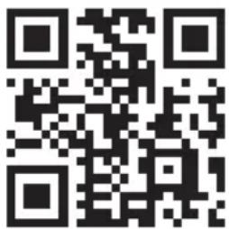 Capital Sports Galaxy Step Mini - Cardio-Trainingsphase - 1