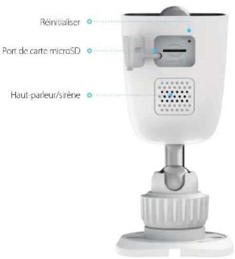 D-LINK DCS8627LH - Arrière - 1