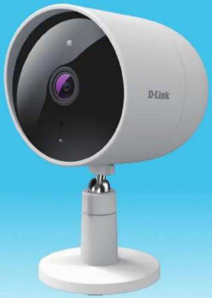 D-LINK DCS8302LH - 1