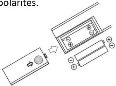 polarites.