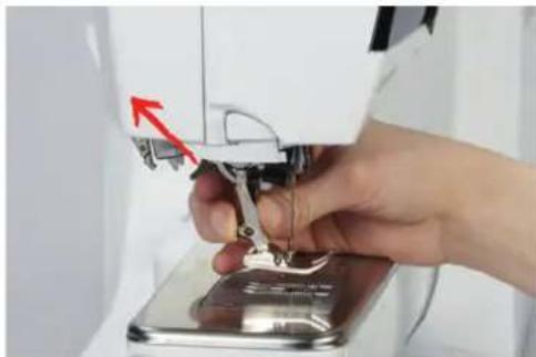 BERNINA 790 PLUS Crystal Edition - Changer le pied-de-biche - 1