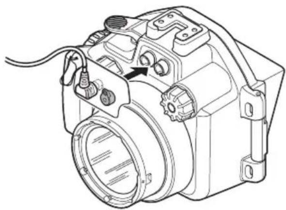 OLYMPUS PTEP13 - Cómo conectar el flash submarino - 2