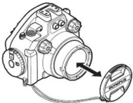 OLYMPUS PTEP13 - Retrait - 2
