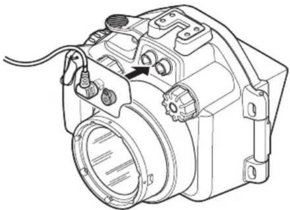 OLYMPUS PTEP13 - Wie Sie das Unterwasser-Glasfaserkabel anschließen - 2
