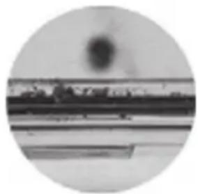 OLYMPUS PTEP13 - Uso del difusor - 4